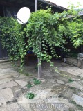 Продава КЪЩА, област Сливен, с. Жеравна • 98000 € • 61793478 — Holmes.bg
