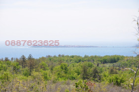 ������ ������� ������