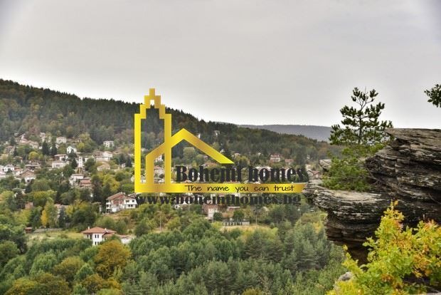 Продава ПАРЦЕЛ, с. Бойково, област Пловдив, снимка 4 - Парцели - 55000506