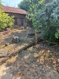 Продава КЪЩА, област Враца, с. Софрониево • 150000 лв. • 23080044 — Holmes.bg