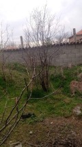 Продава КЪЩА, с. Бошуля, област Пазарджик, снимка 2