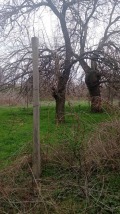 Продава КЪЩА, с. Бошуля, област Пазарджик, снимка 3