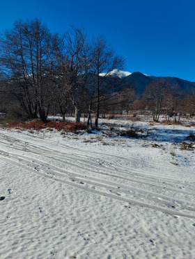 ������� ������ | Imot.bg � ����� ������ 8