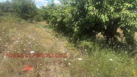 ������� ���������� ���� | Imot.bg � ����� ������ 17