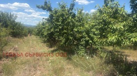 ������� ���������� ���� | Imot.bg � ����� ������ 16