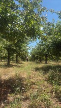 Продава ЗЕМЕДЕЛСКА ЗЕМЯ, с. Горна Гращица, област Кюстендил, снимка 1
