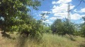 Продава ЗЕМЕДЕЛСКА ЗЕМЯ, с. Горна Гращица, област Кюстендил, снимка 2