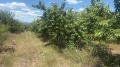 Продава ЗЕМЕДЕЛСКА ЗЕМЯ, с. Горна Гращица, област Кюстендил, снимка 16