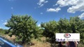 Продава  Земеделска земя област Кюстендил , с. Горна Гращица , 20 дка | 85076032 - изображение [3]