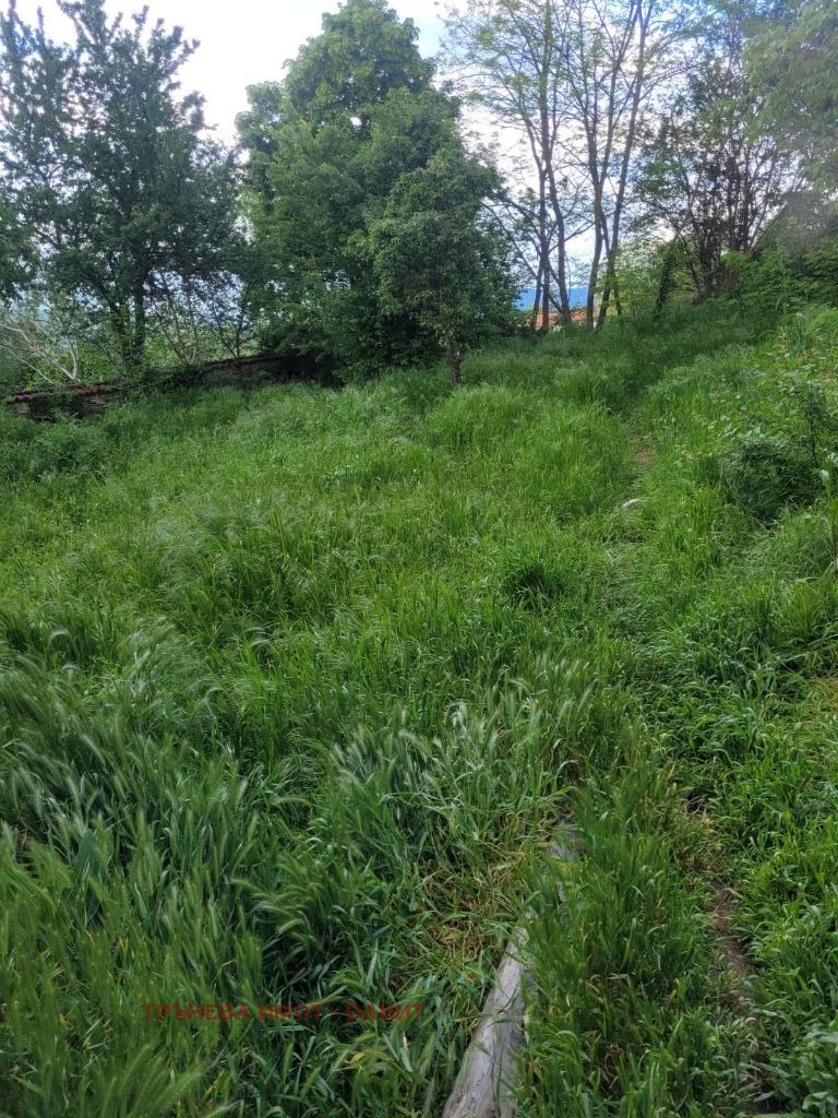 Продава КЪЩА, с. Негушево, област София област, снимка 3 - Къщи - 54838265