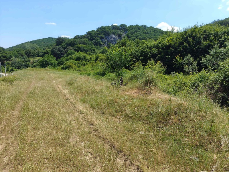Eladó  Cselekmény régió Plovdiv , Galabovo , 480 négyzetméter | 82269495 - kép [3]