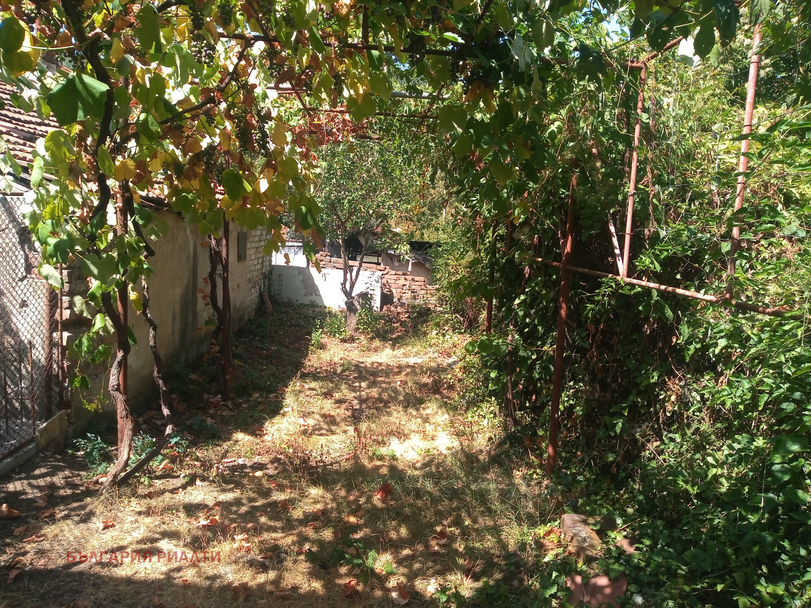 ������� ���� �� ���� | Imot.bg � ����������� 17