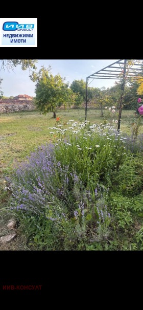 ������� ���� | Imot.bg � ����� ������ 5