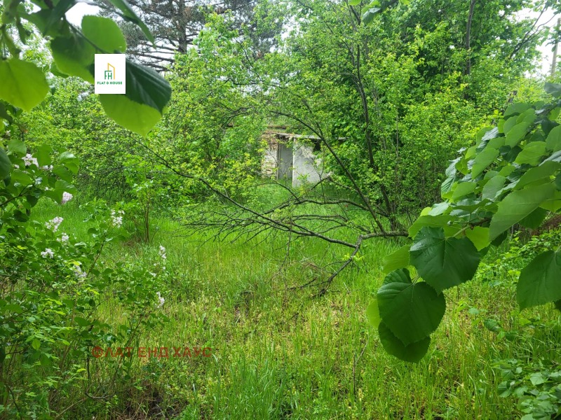 For Sale  Plot region Varna , Zornitsa , 2321 sq.m | 36309887 - image [9]