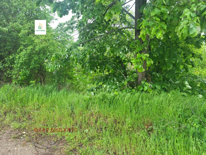 For Sale  Plot region Varna , Zornitsa , 2321 sq.m | 36309887 - image [10]