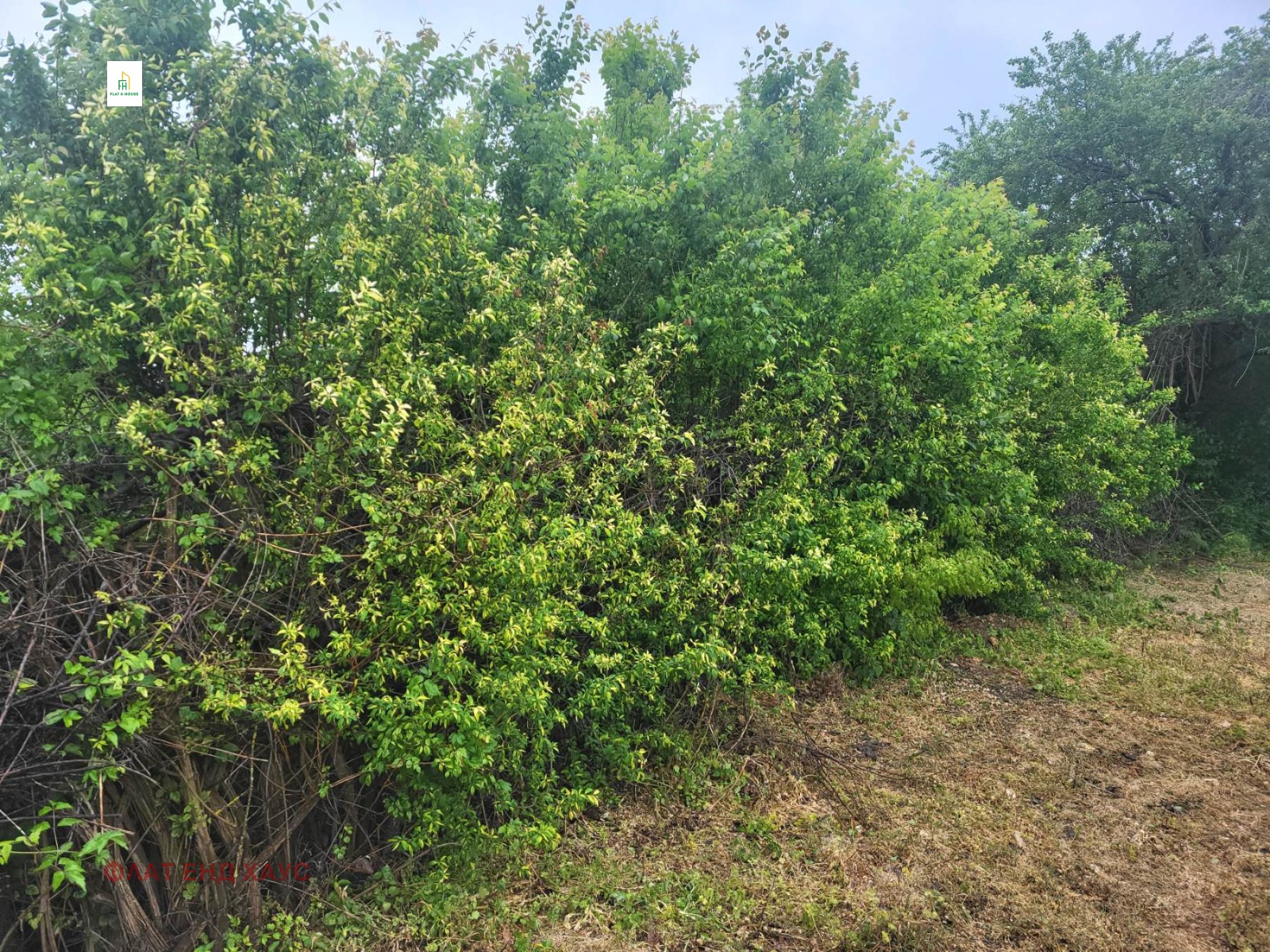 Продава ПАРЦЕЛ, с. Зорница, област Варна, снимка 2 - Парцели - 45709303