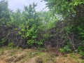 Продава ПАРЦЕЛ, с. Зорница, област Варна, снимка 6
