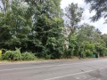 Продава ПАРЦЕЛ, град Варна, к.к. Златни пясъци • 1440000 € / 2816395.20 лв. • 24382782 3