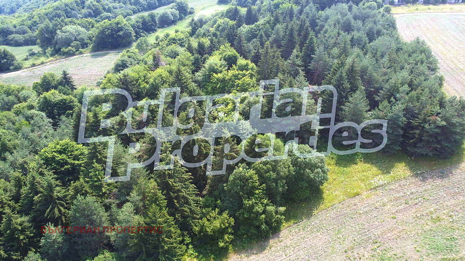 Продава ПАРЦЕЛ | Imot.bg — изображение 4