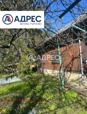 ������ ������� ����