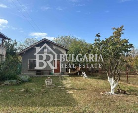 ������ ������� ����