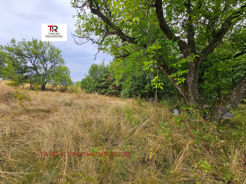 Продава  Къща област Перник , с. Друган , 100 кв.м | 57815994 - изображение [3]