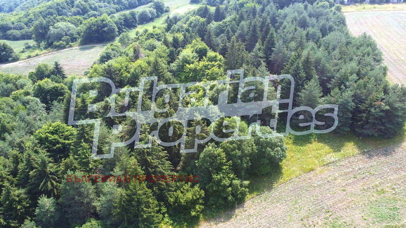 Zu verkaufen  Handlung region Sofia , k.k. Borowez , 3000 qm | 26982723 - Bild [4]