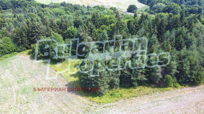 Zu verkaufen  Handlung region Sofia , k.k. Borowez , 3000 qm | 26982723 - Bild [5]