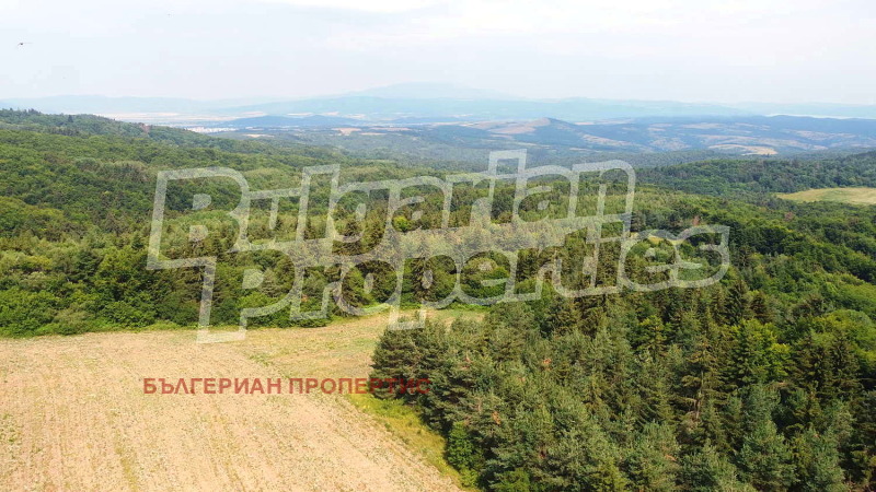 Zu verkaufen  Handlung region Sofia , k.k. Borowez , 3000 qm | 26982723 - Bild [6]