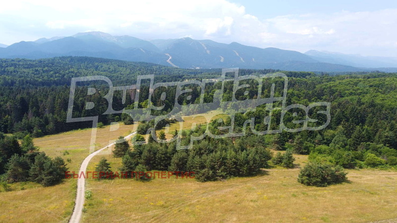 Zu verkaufen  Handlung region Sofia , k.k. Borowez , 3000 qm | 26982723 - Bild [8]