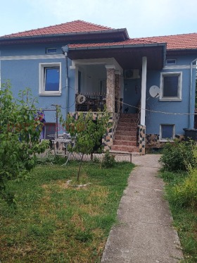 ������ ������� ����