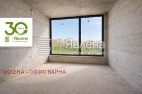 ����� ������� ����,���� �����, ������