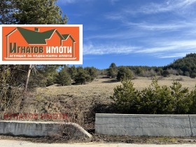 ����� ������� ���������� ����,��. �����, ������ ���������