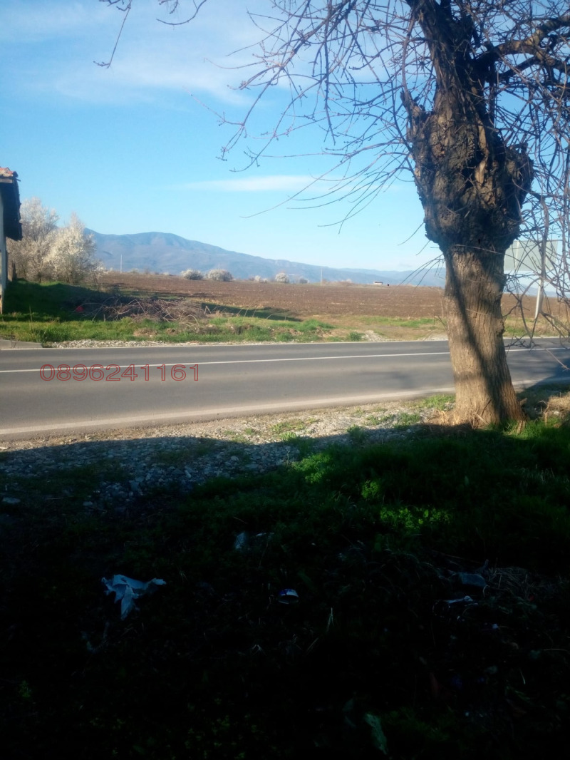 For Sale  Plot region Plovdiv , Asenovgrad , 1305 sq.m | 96525136