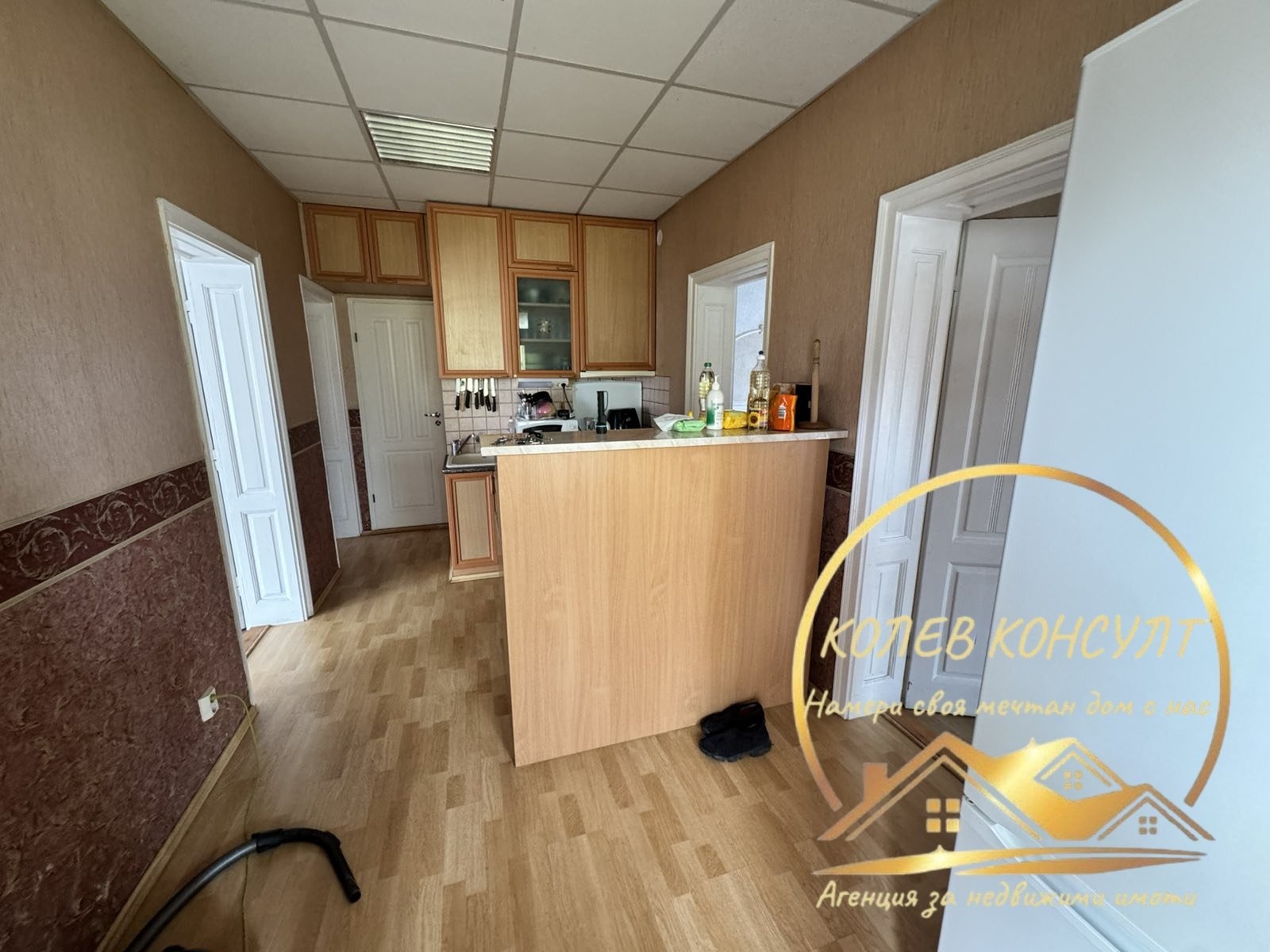 Продава КЪЩА, с. Войводово, област Хасково, снимка 4 - Къщи - 54197861