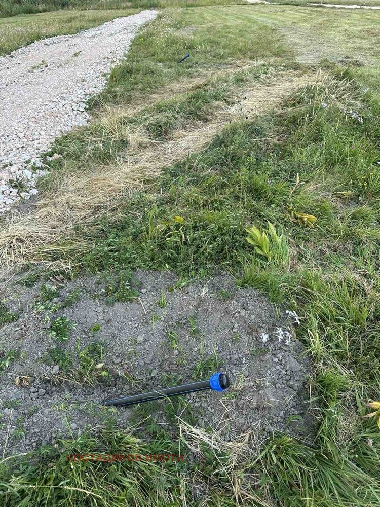 Til salgs  Plott region Pazardzhik , m-t Tsigov sjark , 410 kvm | 22760006 - bilde [5]