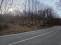 Продава ПАРЦЕЛ, с. Балканец, област Ловеч, снимка 2