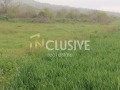 Продава ПАРЦЕЛ, с. Рогачево, област Добрич, снимка 3