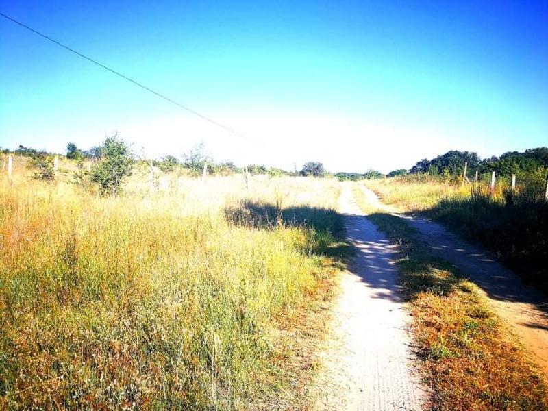 Продава ПАРЦЕЛ | Imot.bg — изображение 4