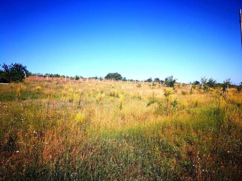 Продава ПАРЦЕЛ | Imot.bg — изображение 6