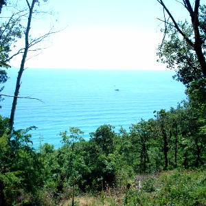 Продава ПАРЦЕЛ | Imot.bg — изображение 5