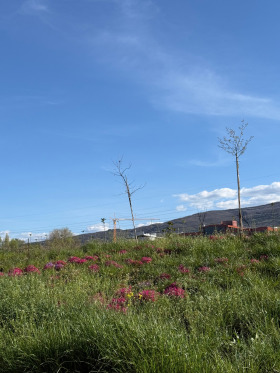 ������� 2-����� | Imot.bg � ����� ������ 16