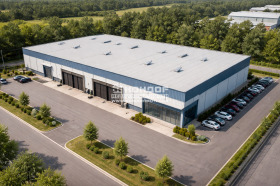 ����� ������� ������,���� �������, ������������ ���� - ��