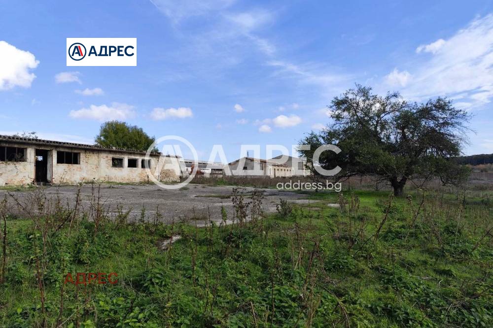 Продава ПРОМ. ПОМЕЩЕНИЕ, с. Водица, област Варна, снимка 2 - Производствени сгради - 54075429