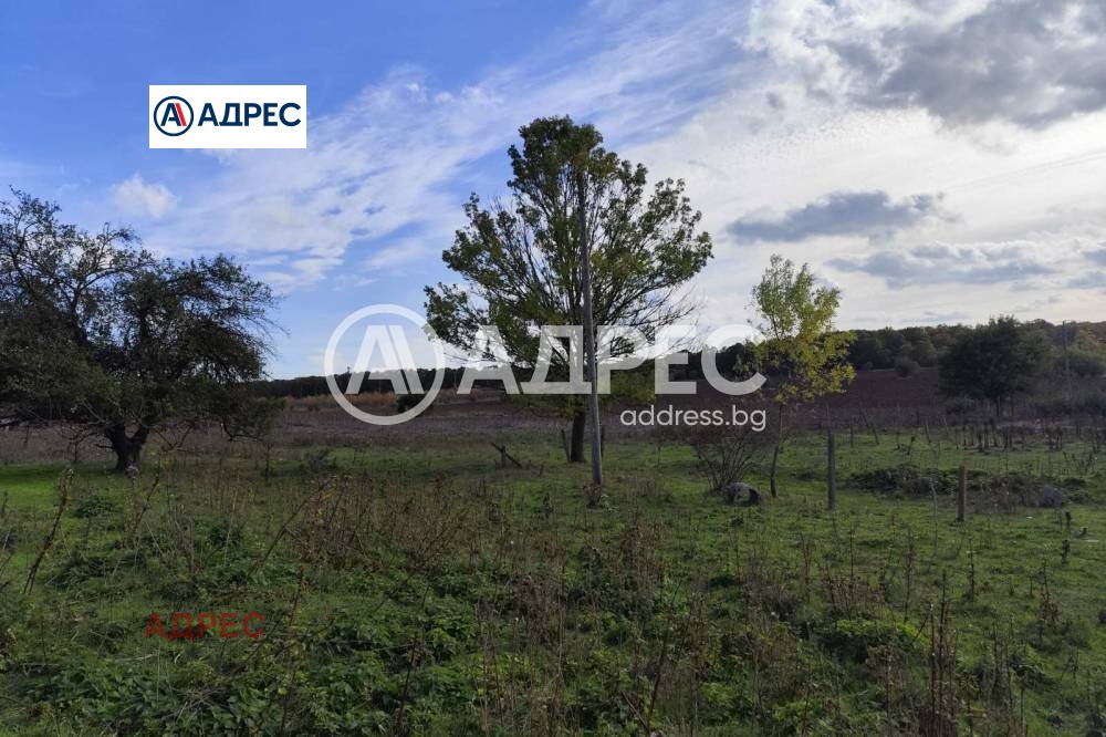 Продава ПРОМ. ПОМЕЩЕНИЕ, с. Водица, област Варна, снимка 4 - Производствени сгради - 54075429