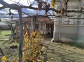 Продава КЪЩА, област Бургас, с. Подвис • 43460 € • 36613155 — Holmes.bg