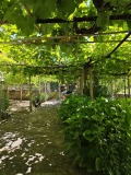 Продава КЪЩА, област Бургас, с. Подвис • 43460 € • 36613155 — Holmes.bg