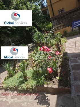 ������ ������� ����