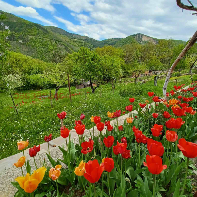 Til salg  Hus region Sofia , Tserovo , 125 kvm | 59128497 - billede [6]