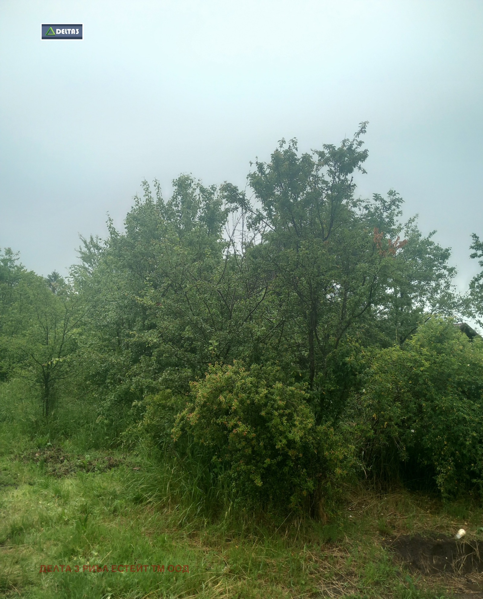 ������� ������ | Imot.bg � ����������� 2